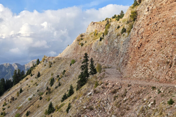 20251015_174608